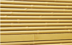 こだわり竹イエロー