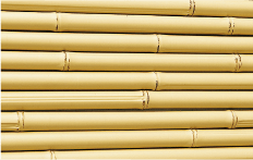 アイボリーさらし