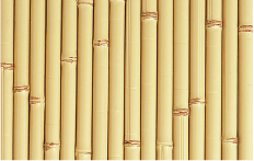 アイボリーさらし