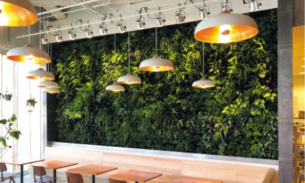 ガーデンアクセサリー アートキャンバス(壁面緑化)