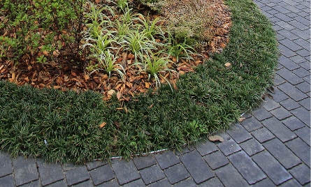 緑化資材 ガーデンエッジ