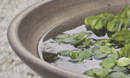 和風ガーデン・坪庭 水鉢/ファウンテン