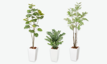 人工植物 観葉植物