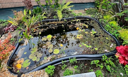 ウォーターガーデン ウォーターライト