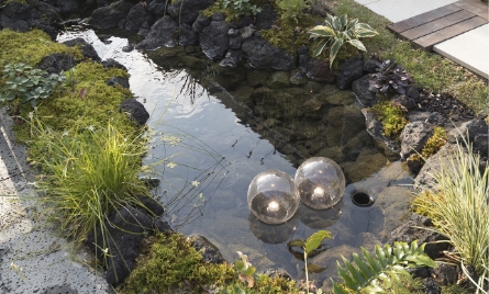 ウォーターガーデン ウォーターアクセサリー