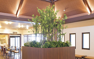 グリーンデコ和風