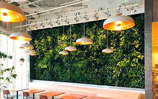 アートキャンバス