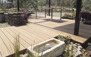 タンモクアッシュ